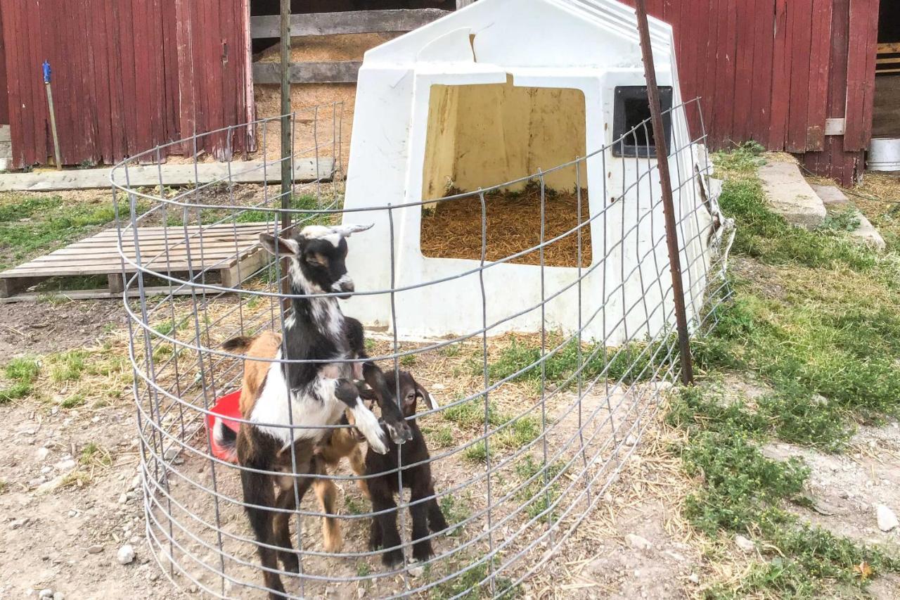 Cozy Goshen Studio Unique Farm Stay! Exterior photo
